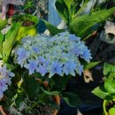 이반성면-6 이미지