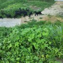 오복건강원 이미지