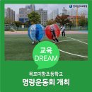 미항초등학교 이미지