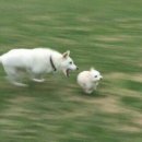 명진약품 이미지