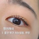울산속눈썹펌 중산동속눈썹연장 잘하는 곳 쩡이래쉬