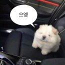 노이(NOI) | 본식 스냅✨ 노이프로젝트(Noi project) 계약 후기