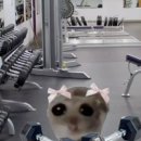 바라던PT 이미지