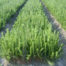 (주)태진 이미지