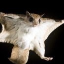 고원설렁탕 이미지