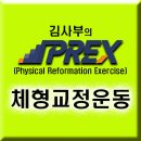 PREX(Physical Reformation Exercise)체형교정운동 교재 - 체형교정운동 5단계 시스템 적용한 체계적인 교육내용 이미지