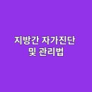 지방간의 진단과 관리 이미지