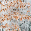 포인트 행정사 이미지