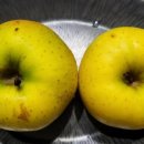 익산원예농협하나로마트 이미지