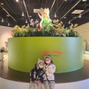 곤충연구소 실내 | 인천 실내박물관 와일드벅스 곤충탐험대 주말 방문 후기