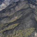 산림약국 이미지