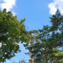 대구산격동우체국 이미지