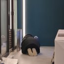 스마테리어 | [공지] "그냥 따지지 말고 여기랑 해" - 시작을 설계하는 스마테리어 스토리