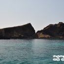 제주도감상암