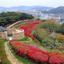 "여긴 보호구역이 있어요! 조심해야 해요!" 전북 고창 필수 여행지 5선 이미지