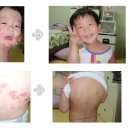 에덴벽지상사 | 에덴바이오 벽지의 효능!