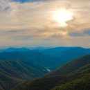 선의농원 이미지