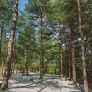 소나무스테이 이미지