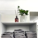 프롬 베이스먼트 이미지