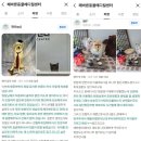 해운대 대학동물약국 | 해운대구동물병원, 노령묘와 노령견에게 서서히 찾아오는 만성신부전증