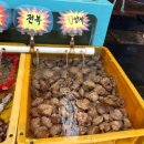 금성호회수산 | [태안회센터] 몽산포항 태안수산시장 금성호 도다리 놀래미 회 포장 후기