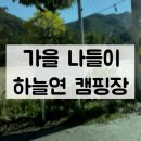 하늘연 캠핑장 | 고기부터 불멍까지! 하늘연 캠핑장에서 당일 글램핑 후기