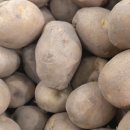 대구동부중학교 이미지