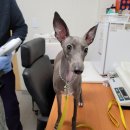 창룡문지구대 이미지