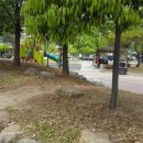 대현어린이공원 이미지