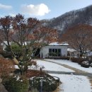 꽃피는 봄에 강추 ~ 양평카페 내추럴가든529 정원이 아름다워요! 이미지