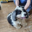 슬비농장 이미지