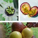 웰플러스 이미지