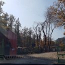 광릉솔개캠핑장 | 포천 광릉솔개캠핑장 : 버팔로 뉴 퍼펙트라운지 &amp; 앵두전구