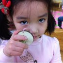 갈원초교 병설유치원 이미지