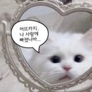 메르스튜디오