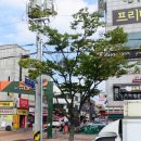 세븐일레븐 대구성서계대점 이미지