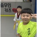 연제태권도 이미지