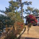 풀비치펜션 이미지