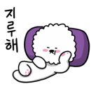 루이비숑 이미지