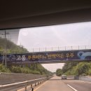 【고흥 맛집 추천】 고흥 한정식 느낌의 코다리조림 맛집 고흥원 후기