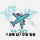 호주 퀸즐랜드 트래픽 히스토리 서류신청을 위한 여권+카드+카드 원본대조필 후기