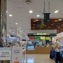 시리즈갤러리아진주점 | 진주 갤러리아 두바이와플 두바이와플 팝업 리뷰