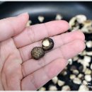 표장농장 이미지