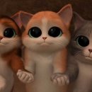 장화신은고양이 이미지