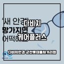 다비치안경 군산롯데몰사거리점 이미지
