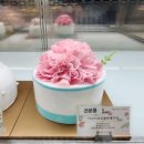 비건케이크 대전둔산동 하레하레 베이커리 2층