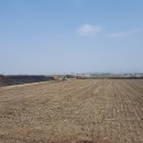 고덕면017 이미지