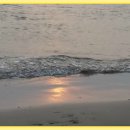 갯벌생태 체험장 이미지