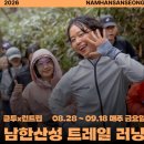 신곡동 메타세쿼이아길 경기도뉴스