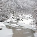 神(신)은 낮게 곡선을 그리며/박재삼 이미지